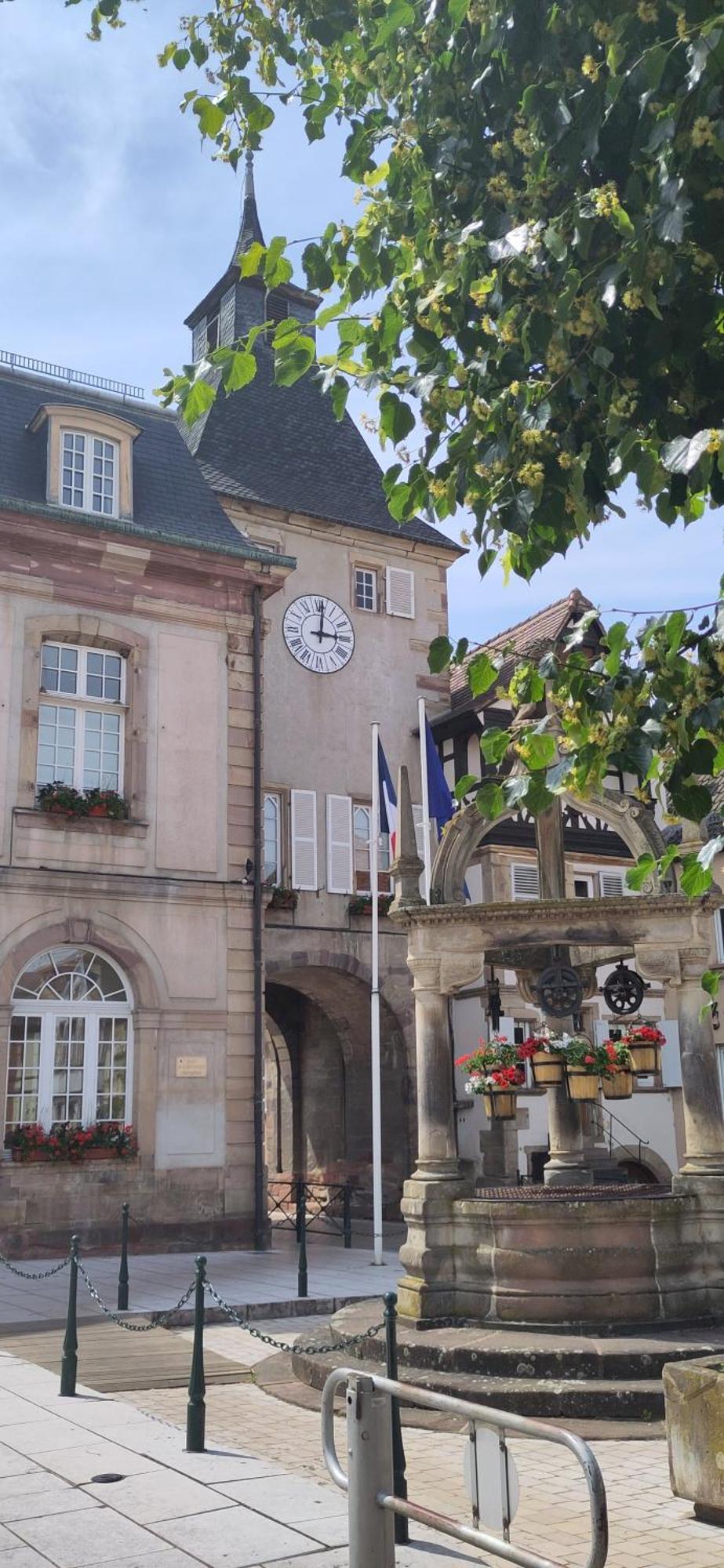 La Maisonnette Bleue, Eco-Logis Equipe De Toilettes Seches Rosheim Exterior foto